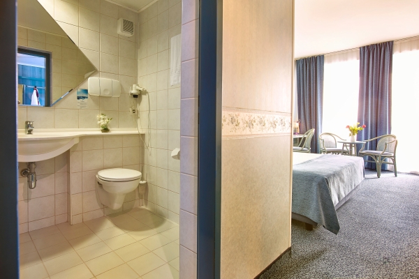 Hotel Continental Arad